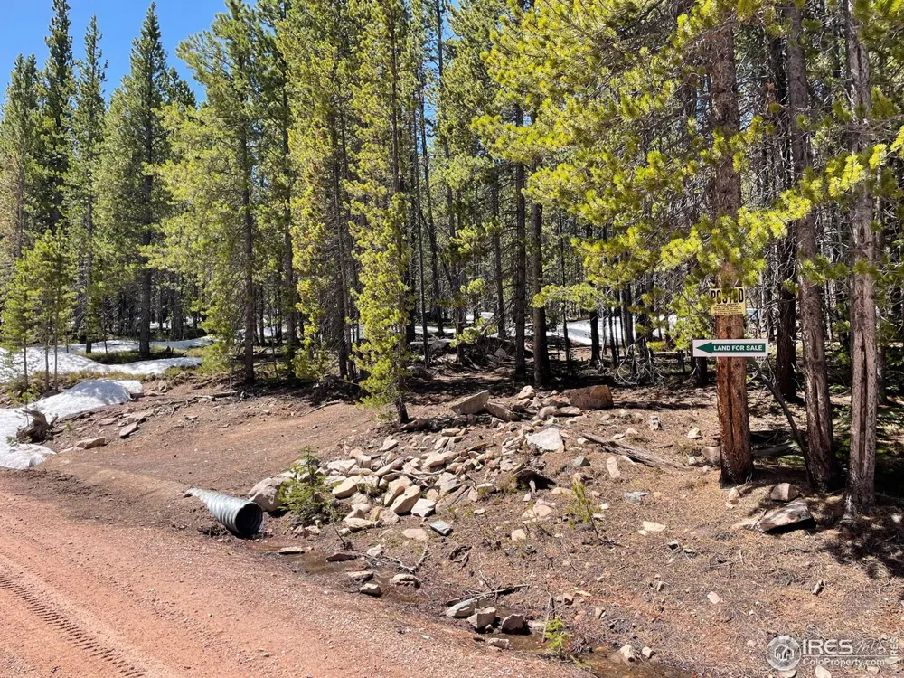 0 Forest Service 169 Road #Parcel #3 Red Feather Lakes, CO 80545