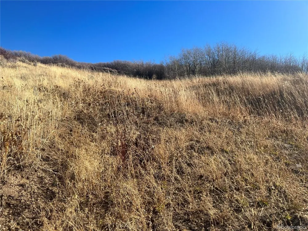 544 Timberlane Loop Craig, CO 81625