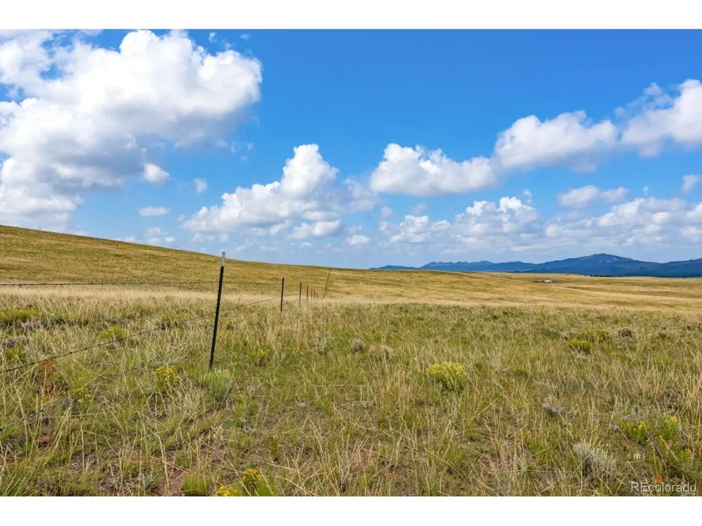 2015 Kit Carson Road Westcliffe, CO 81252