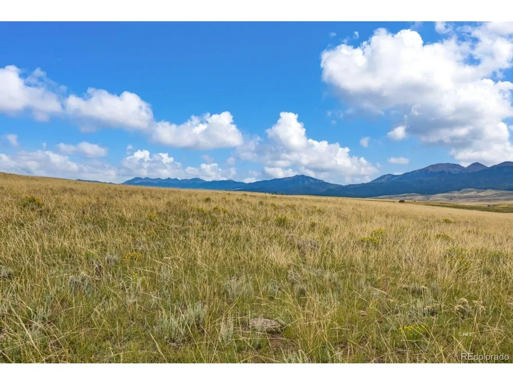 2015 Kit Carson Road Westcliffe, CO 81252