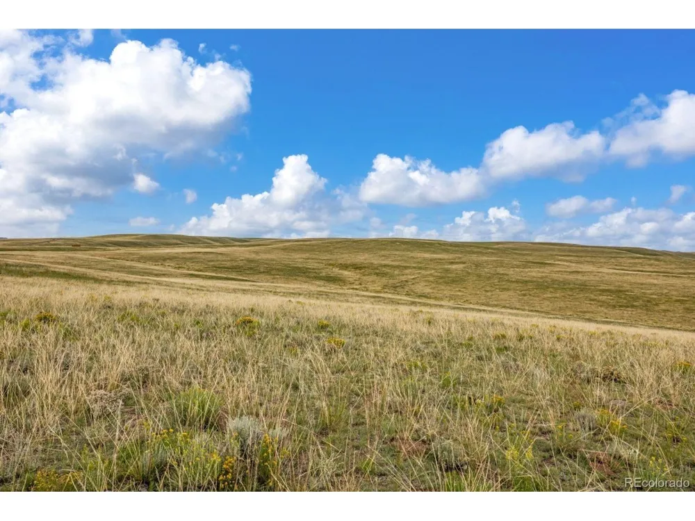 2015 Kit Carson Road Westcliffe, CO 81252