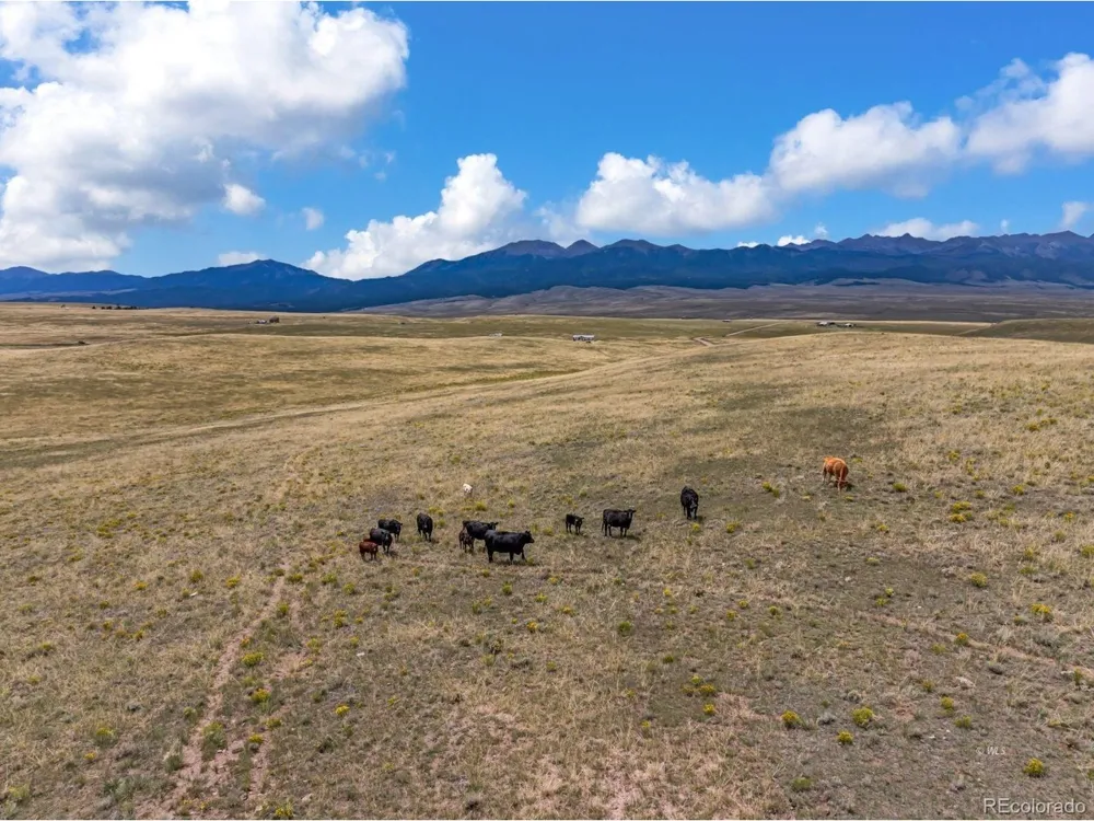 2015 Kit Carson Road Westcliffe, CO 81252