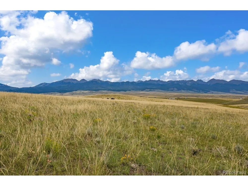 2015 Kit Carson Road Westcliffe, CO 81252