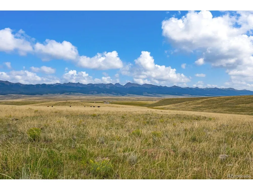 2015 Kit Carson Road Westcliffe, CO 81252