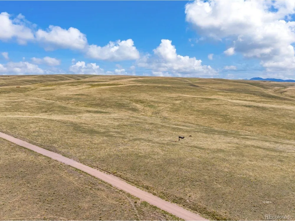 2015 Kit Carson Road Westcliffe, CO 81252