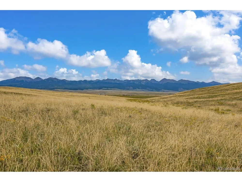 2015 Kit Carson Road Westcliffe, CO 81252