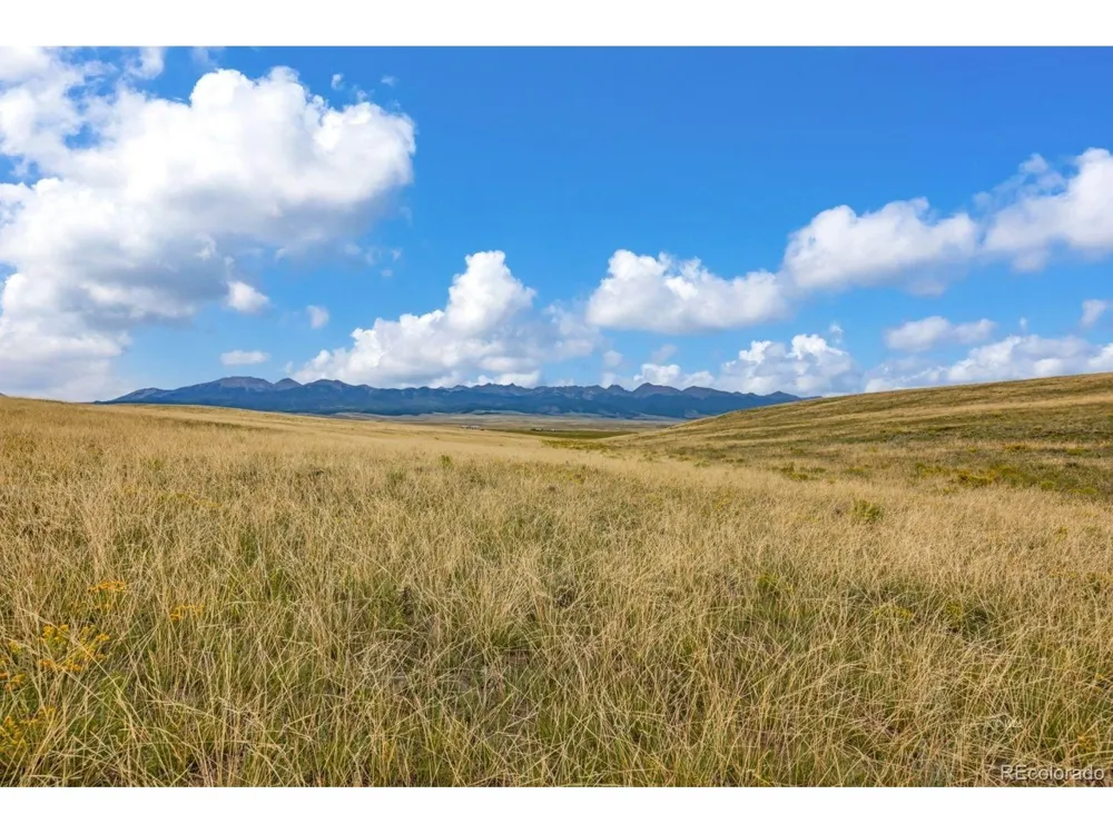 2015 Kit Carson Road Westcliffe, CO 81252