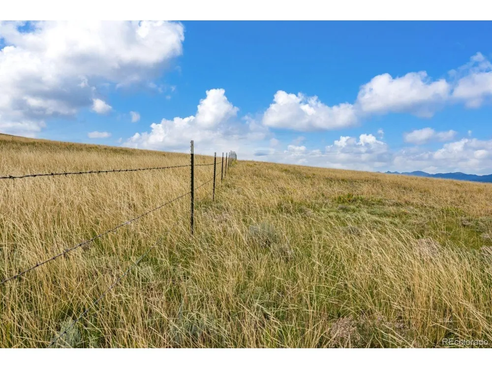 2015 Kit Carson Road Westcliffe, CO 81252