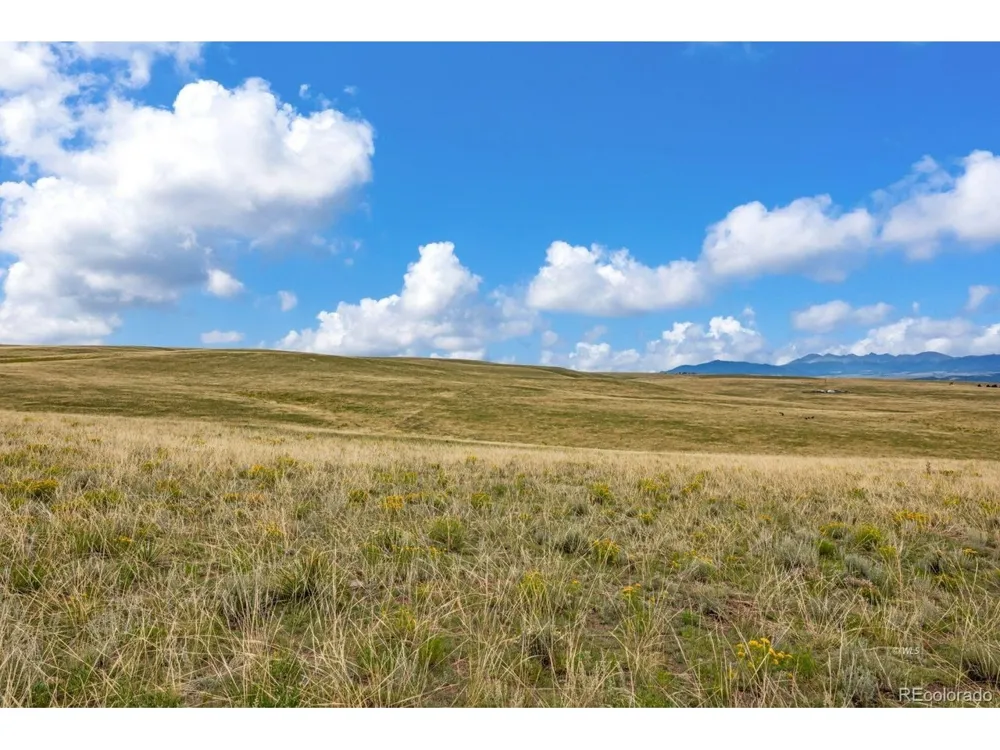 2015 Kit Carson Road Westcliffe, CO 81252