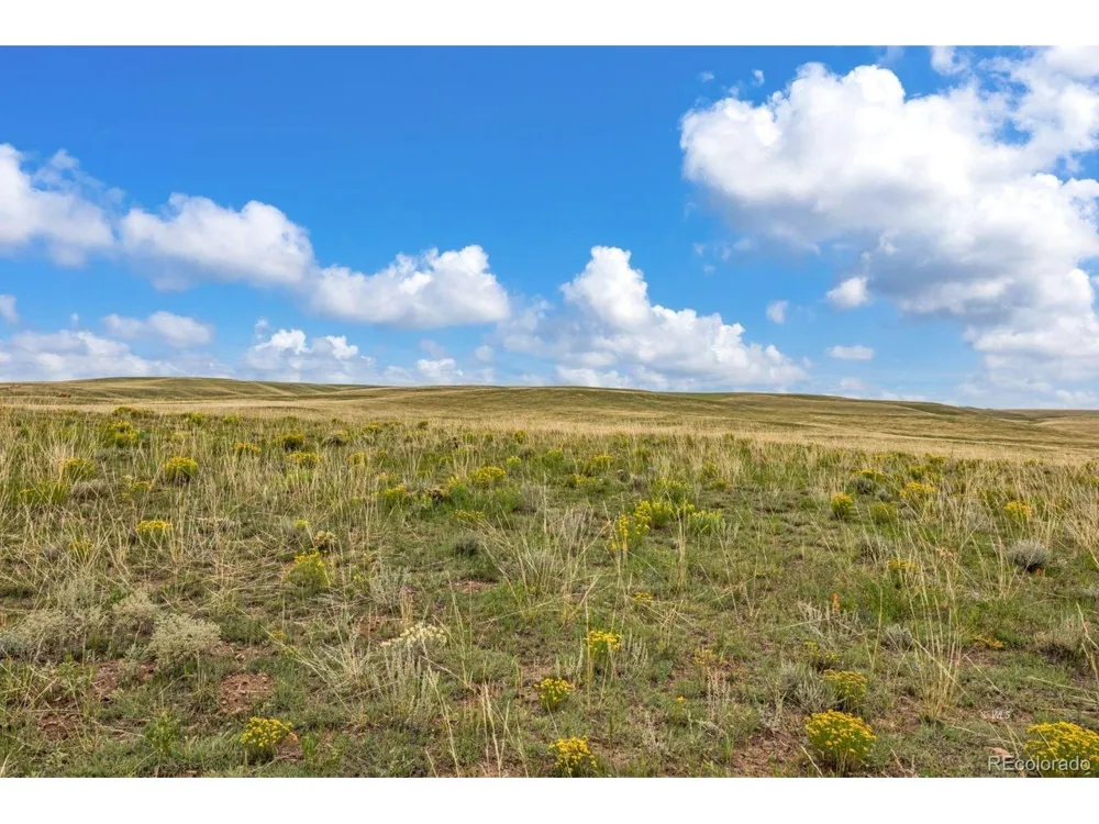 2015 Kit Carson Road Westcliffe, CO 81252