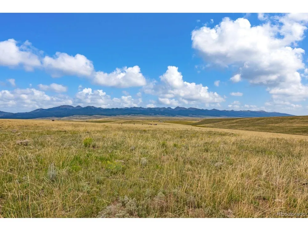 2015 Kit Carson Road Westcliffe, CO 81252