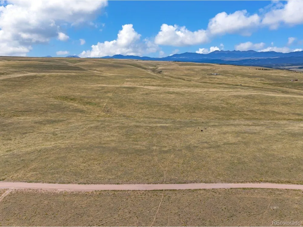 2015 Kit Carson Road Westcliffe, CO 81252