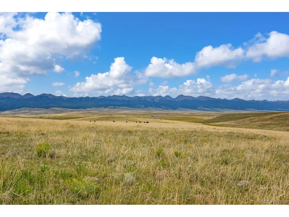 2015 Kit Carson Road Westcliffe, CO 81252