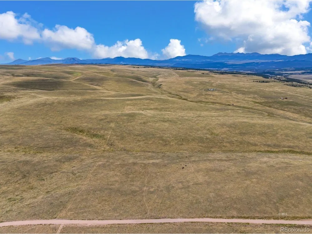 2015 Kit Carson Road Westcliffe, CO 81252