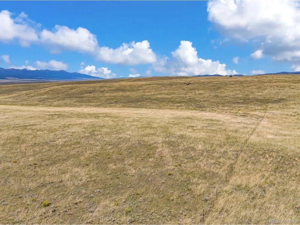 2015 Kit Carson Road Westcliffe, CO 81252