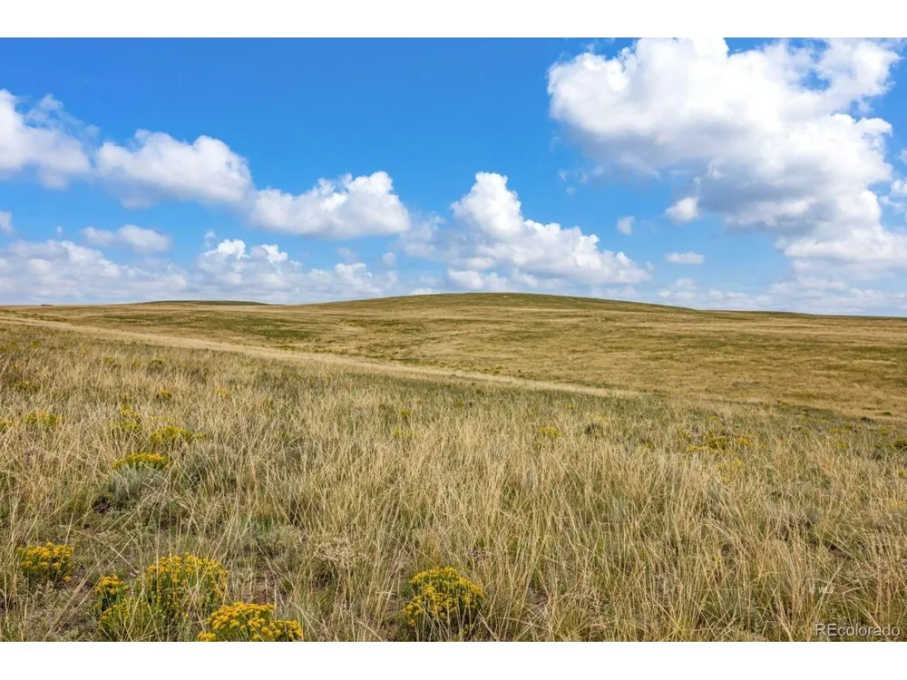2015 Kit Carson Road Westcliffe, CO 81252