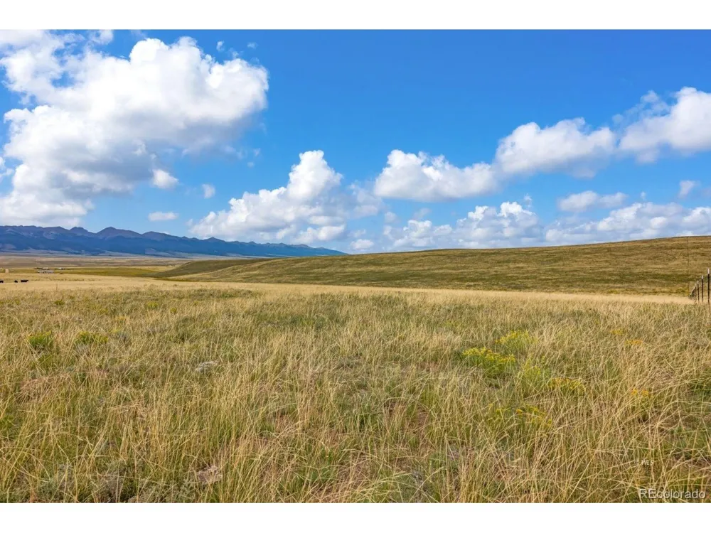 2015 Kit Carson Road Westcliffe, CO 81252