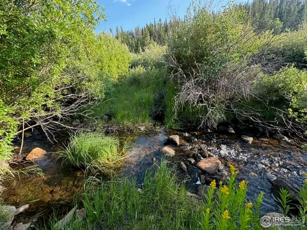 3400 Highway 127 Walden, CO 80480