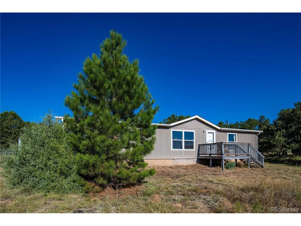 47 Bob Richards Drive Cotopaxi, CO 81223