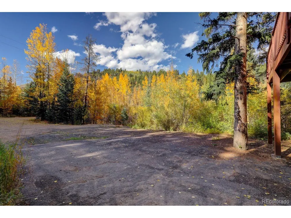 7505 County Road 43 Bailey, CO 80421