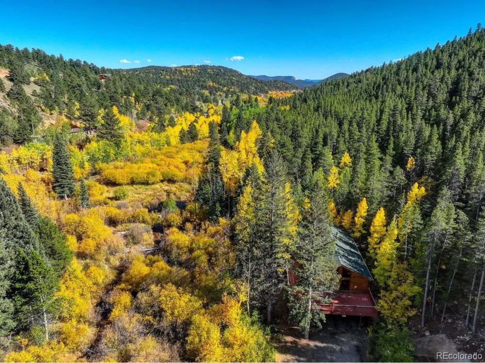 7505 County Road 43 Bailey, CO 80421