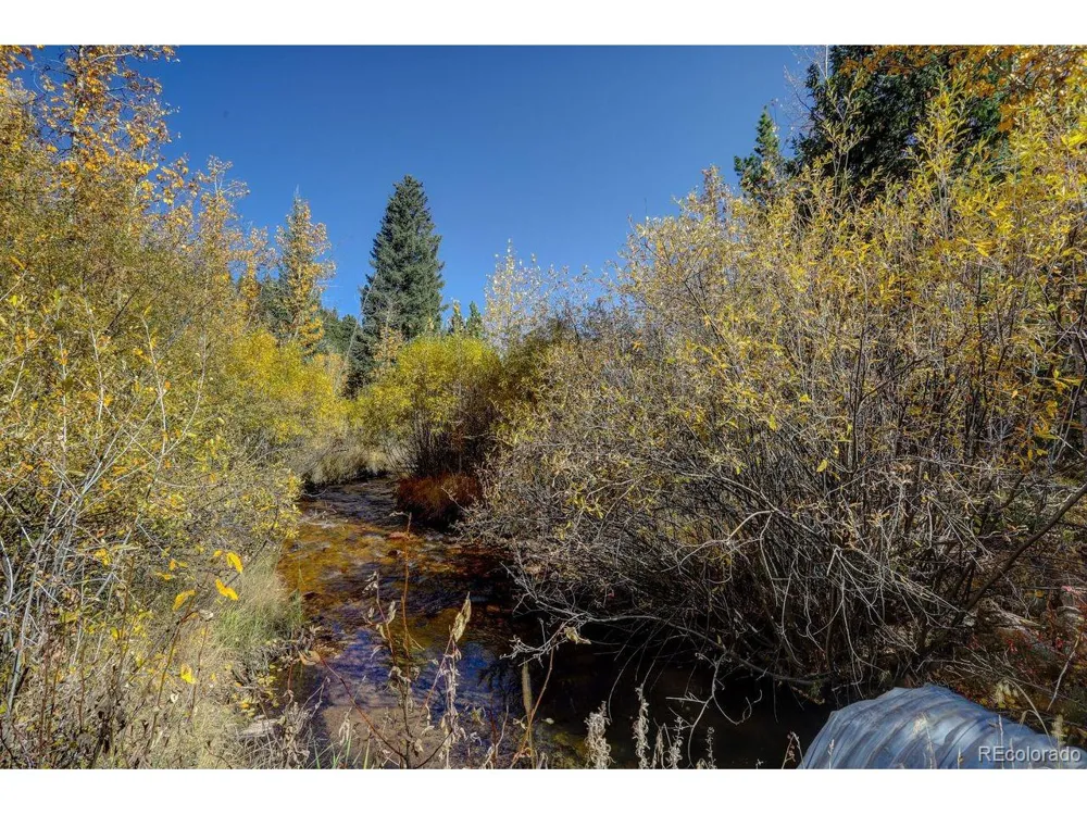 7505 County Road 43 Bailey, CO 80421