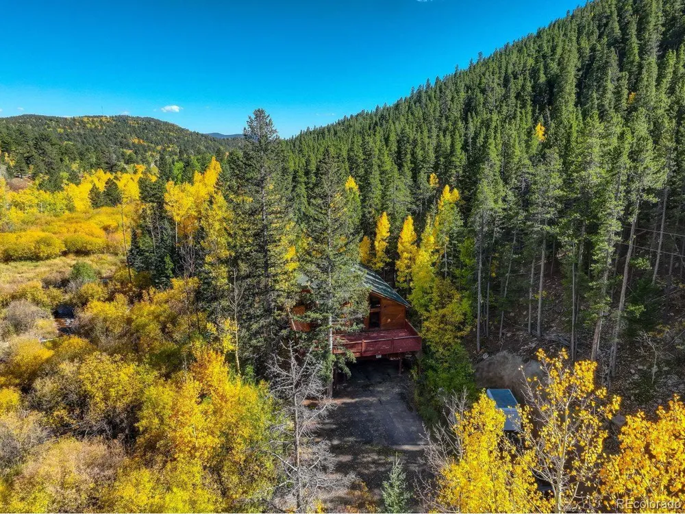 7505 County Road 43 Bailey, CO 80421
