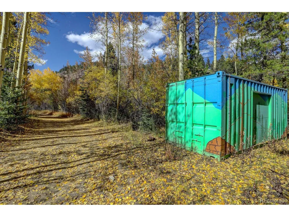 7505 County Road 43 Bailey, CO 80421