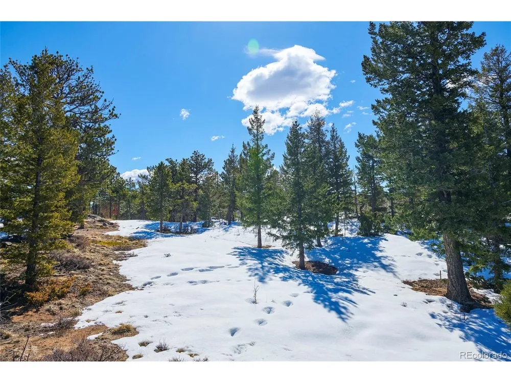 815 Cougar Run Nederland, CO 80466
