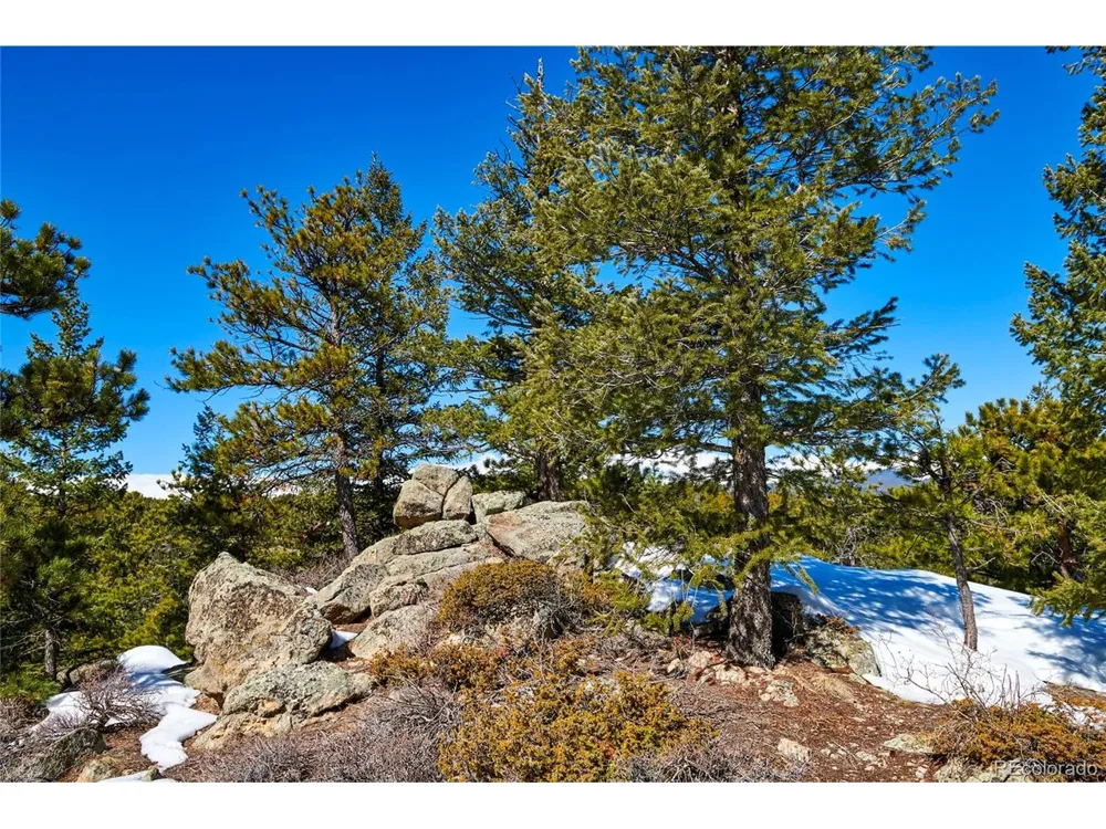 815 Cougar Run Nederland, CO 80466