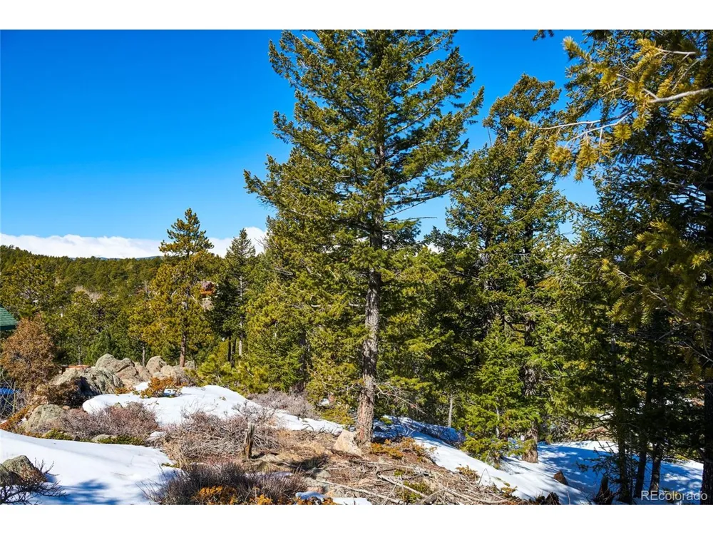 815 Cougar Run Nederland, CO 80466