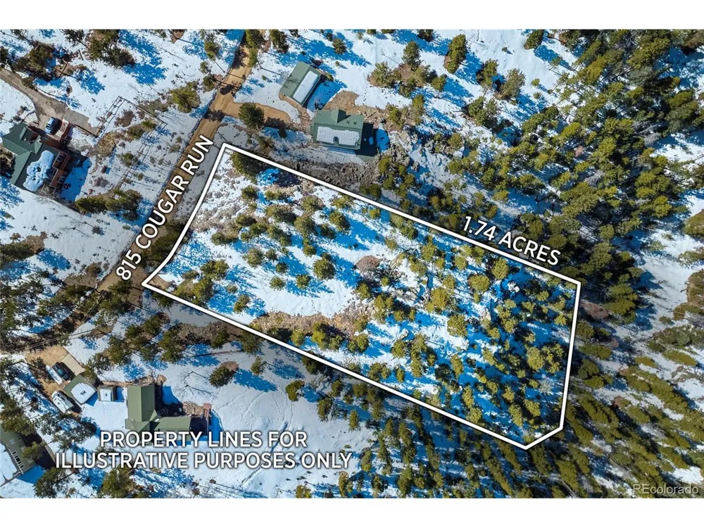 815 Cougar Run Nederland, CO 80466