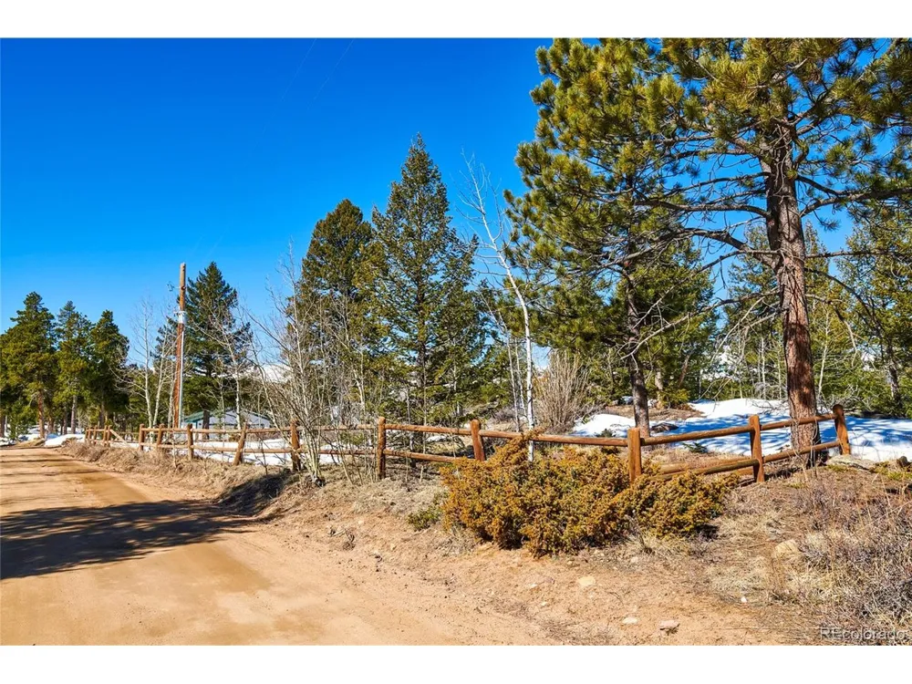 815 Cougar Run Nederland, CO 80466