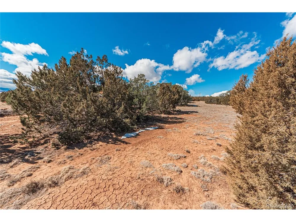 123 Big Horn Walsenburg, CO 81089