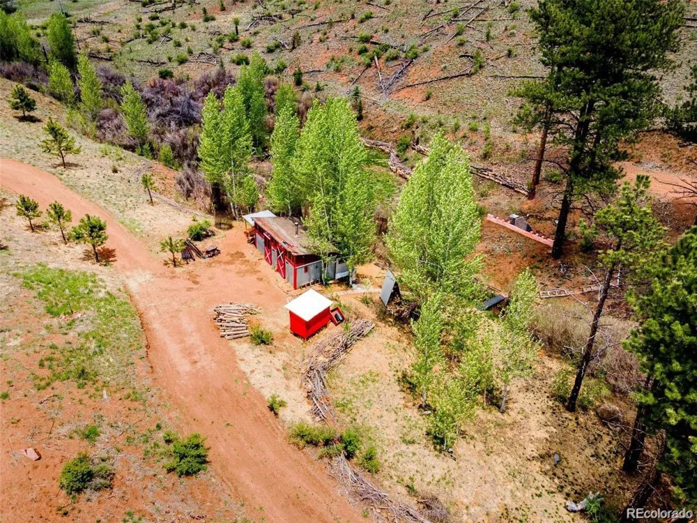 16320 Cochise Trail Pine, CO 80470