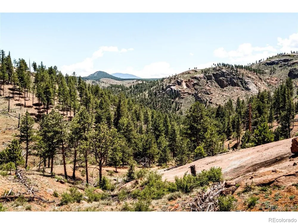 16320 Cochise Trail Pine, CO 80470