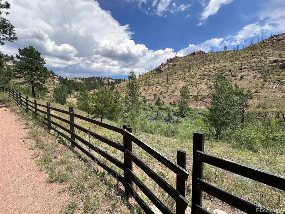 16320 Cochise Trail Pine, CO 80470