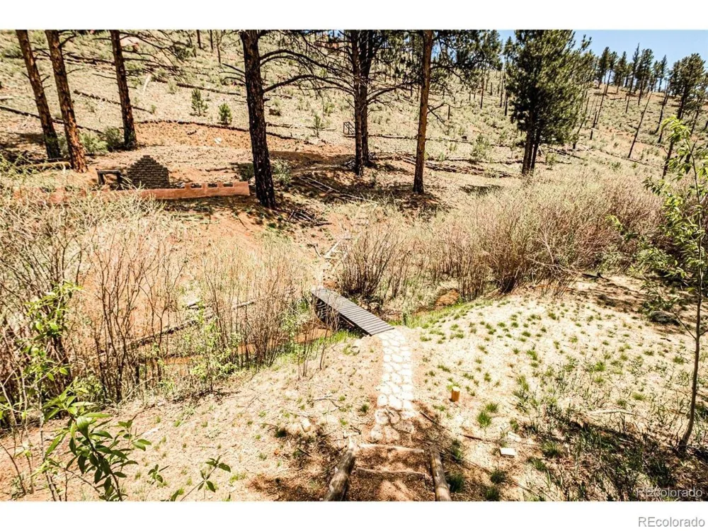 16320 Cochise Trail Pine, CO 80470