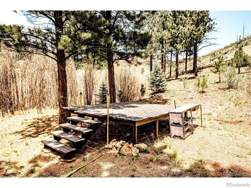 16320 Cochise Trail Pine, CO 80470