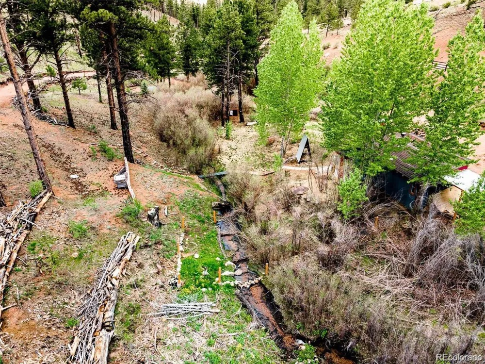 16320 Cochise Trail Pine, CO 80470
