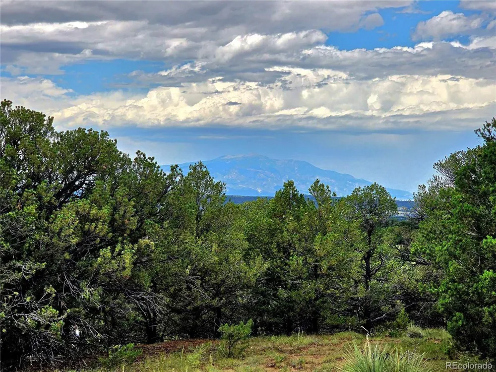 97 River Ridge Ranch Walsenburg, CO 81089