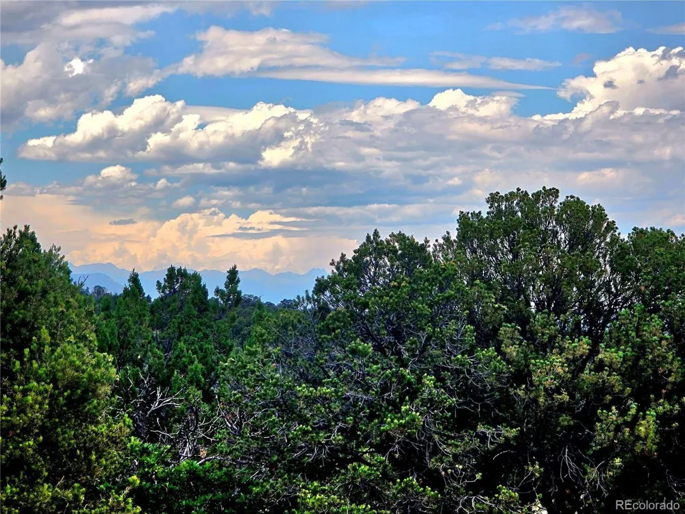 97 River Ridge Ranch Walsenburg, CO 81089
