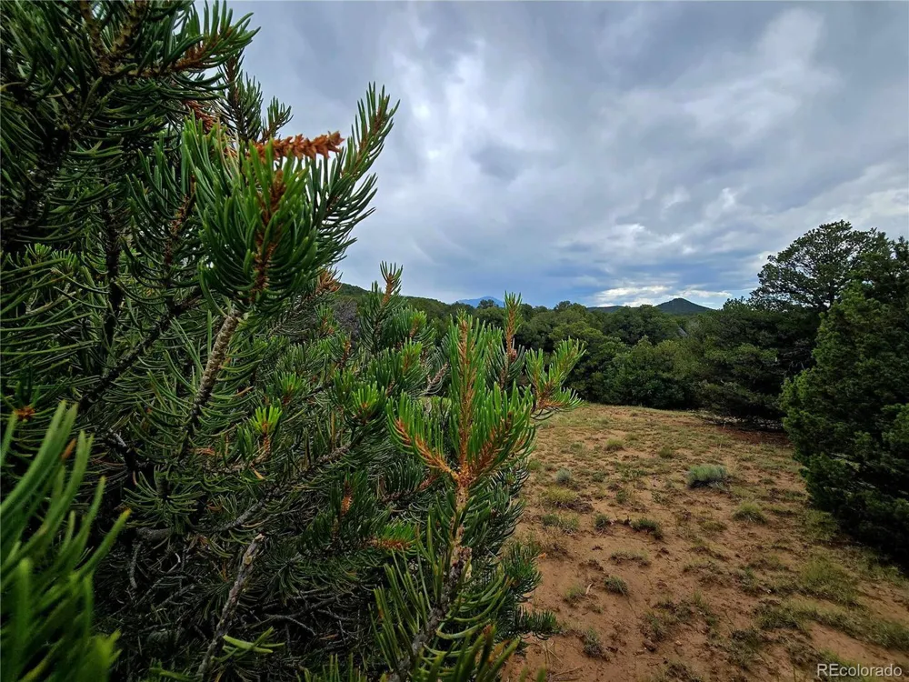 97 River Ridge Ranch Walsenburg, CO 81089
