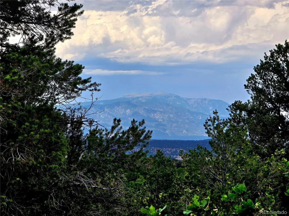 97 River Ridge Ranch Walsenburg, CO 81089