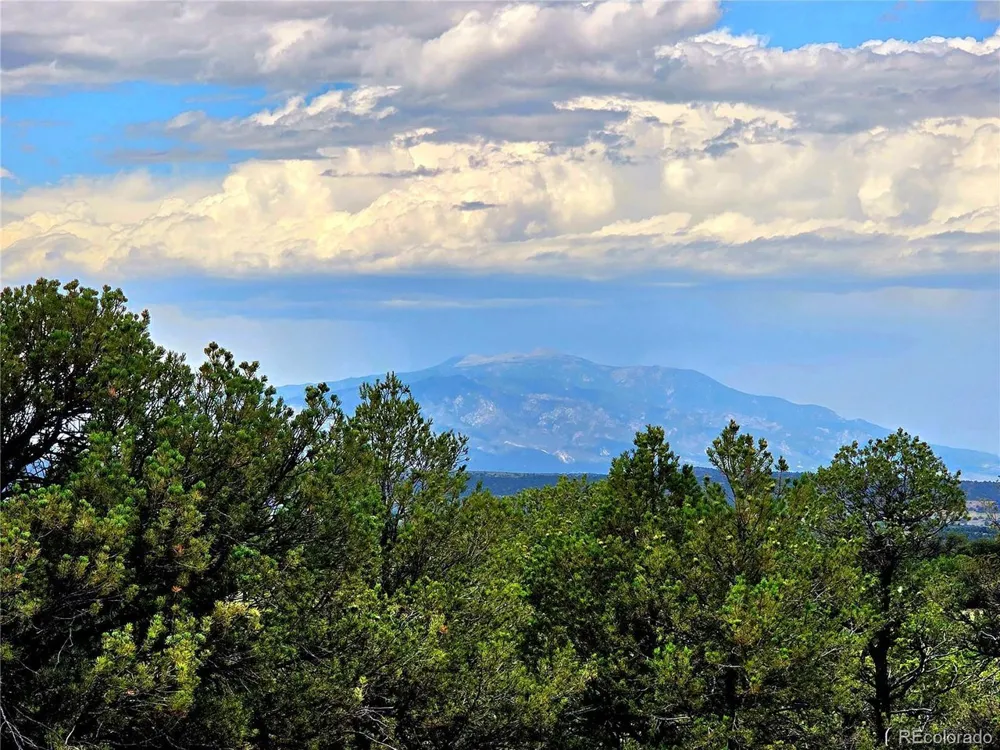 97 River Ridge Ranch Walsenburg, CO 81089