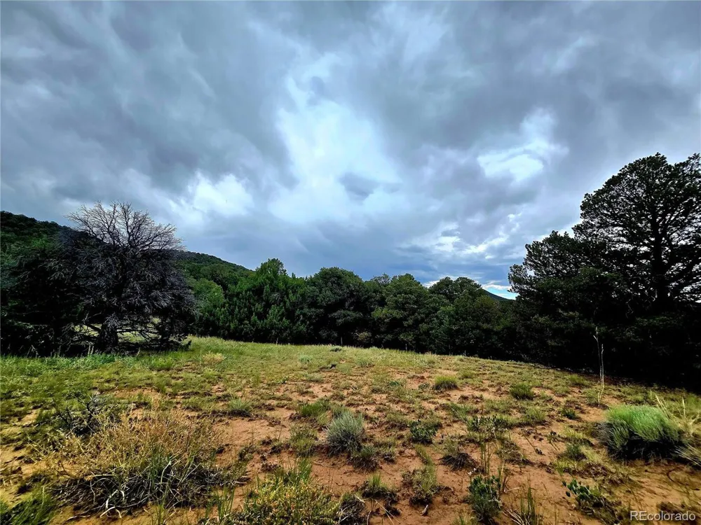 97 River Ridge Ranch Walsenburg, CO 81089
