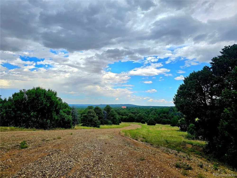 97 River Ridge Ranch Walsenburg, CO 81089