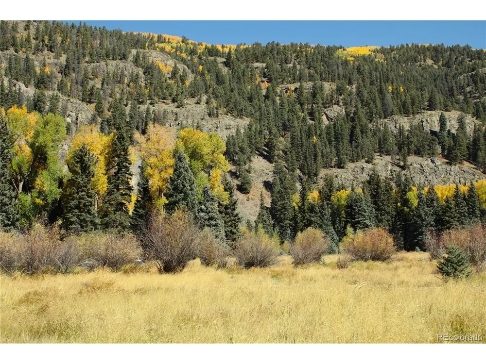 Address Not Shown Antonito, CO 81120