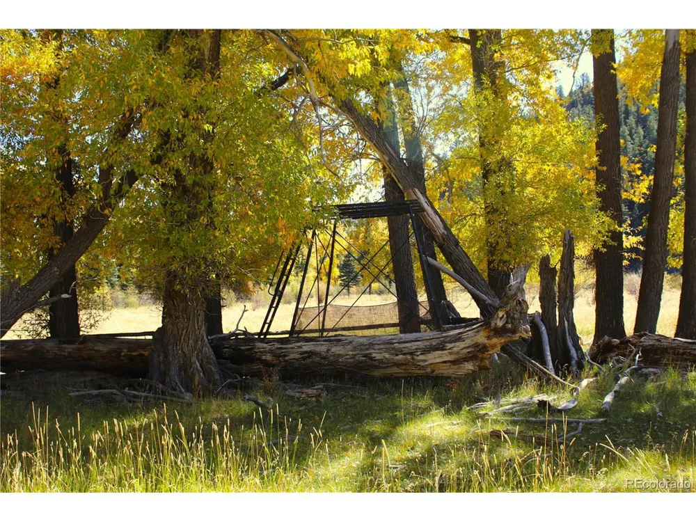 Address Not Shown Antonito, CO 81120