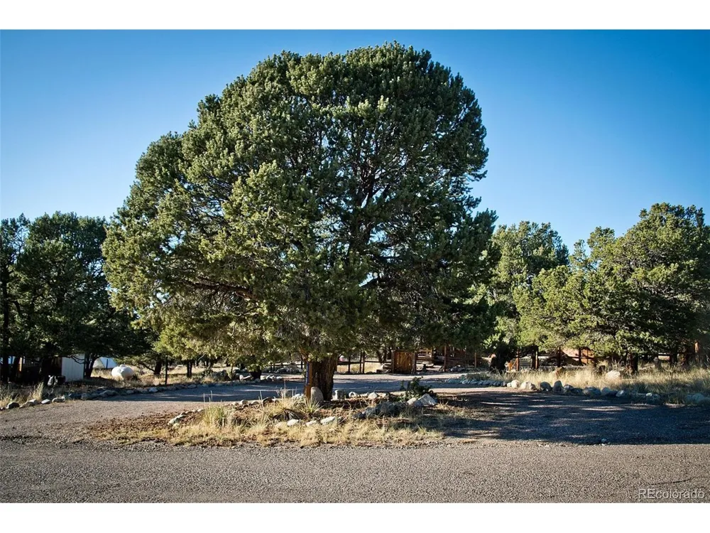 109 Pinewood Overlook Crestone, CO 81131